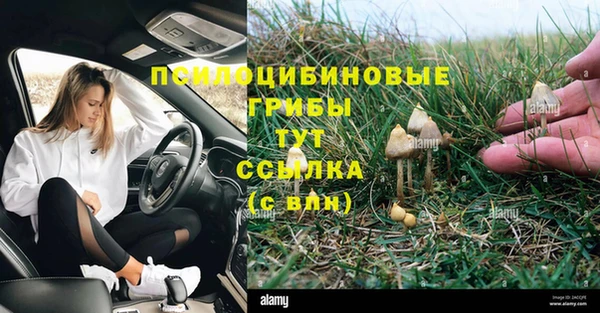 прущий лед Вязники