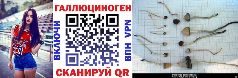 Псилоцибиновые грибы ЛСД мега ССЫЛКА Данилов сколько стоит